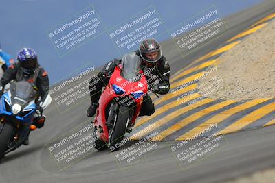 media/Jan-14-2023-SoCal Trackdays (Sat) [[497694156f]]/Turn 12 (120pm)/